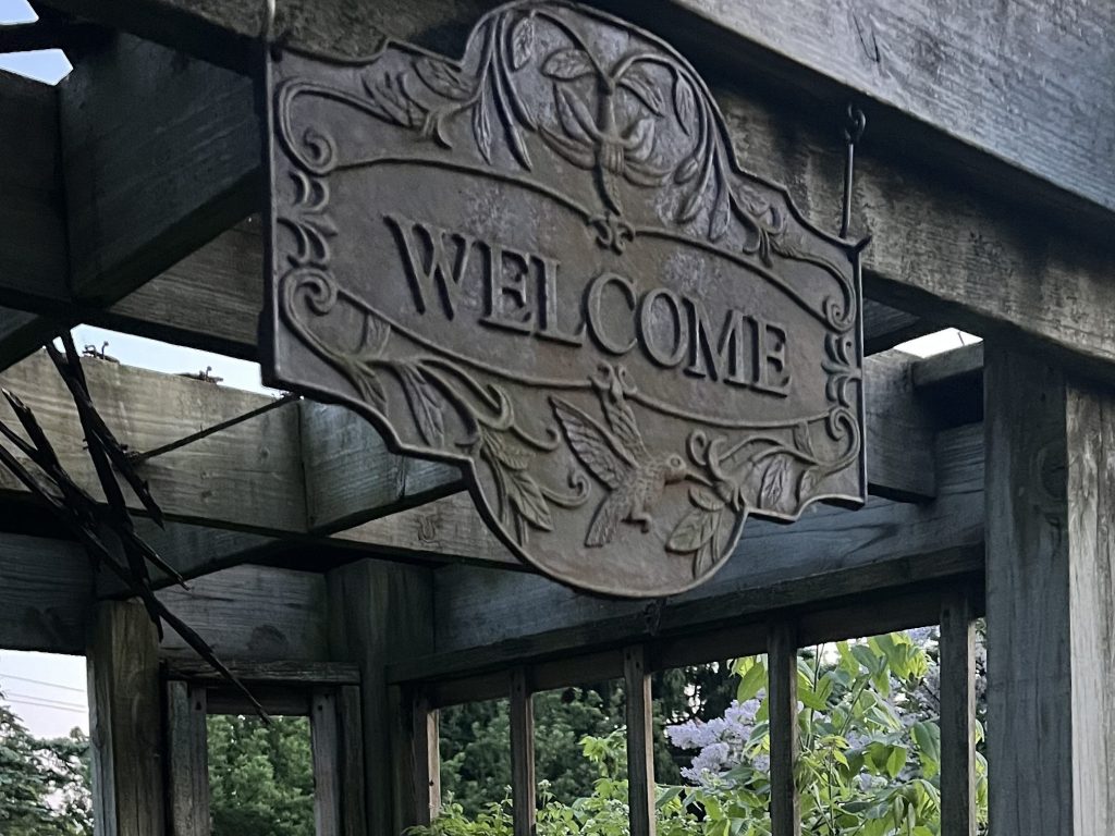 Hello World – A Reil Introduction